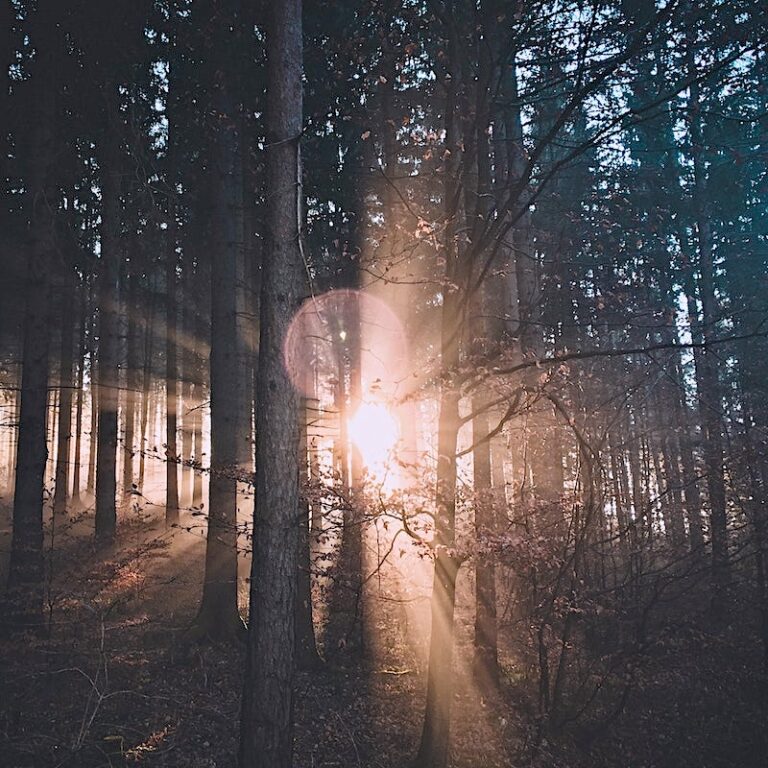 Winter Solstice Astrology – ดวงอาทิตย์ที่0º Capricorn!