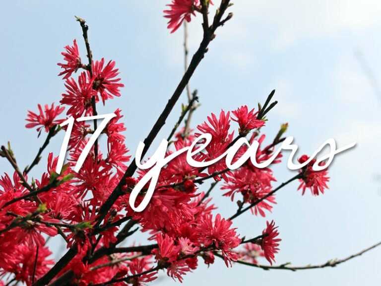 16 ไป 17 – ผู้หญิงของฉัน