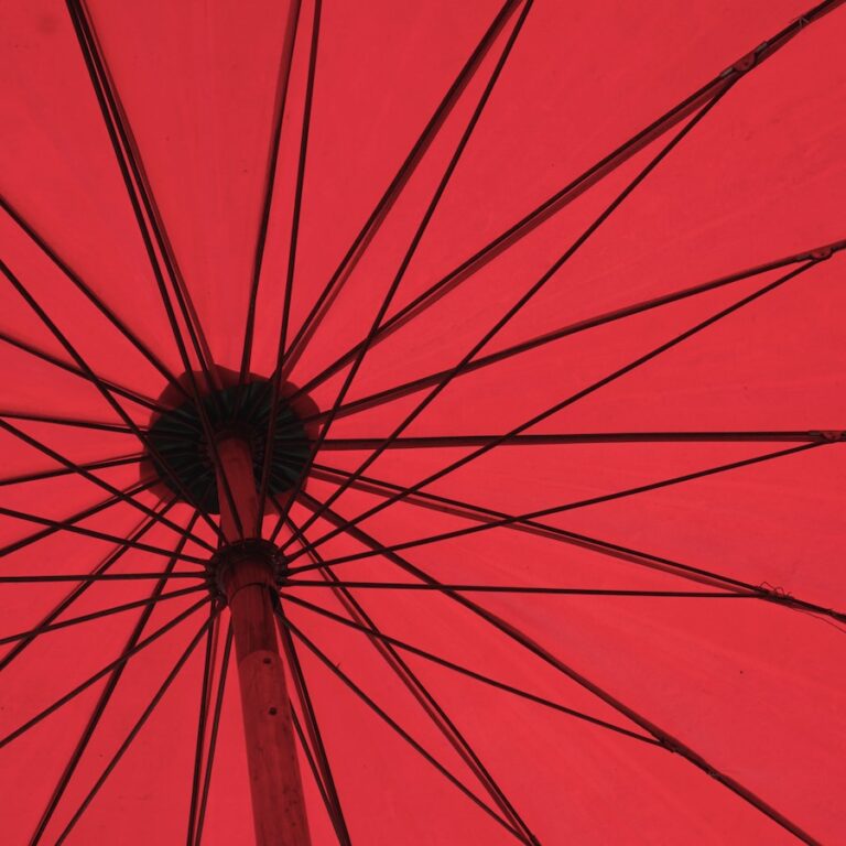 สีที่ดีที่สุดสำหรับราศีเมษ – พวกเขามีเสน่ห์ในรูจ …