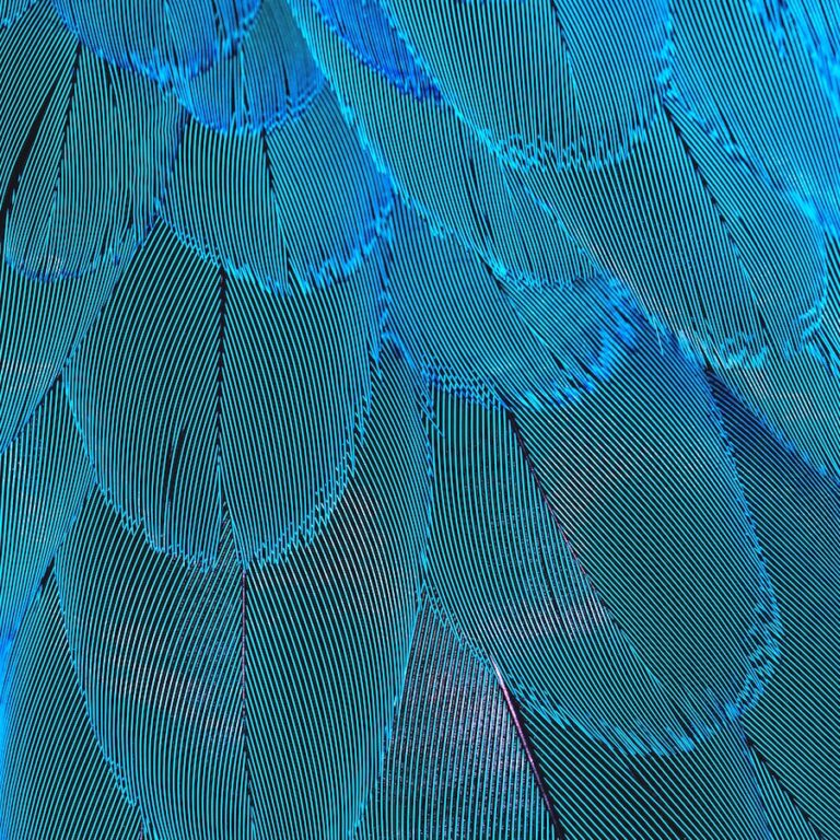 สีราศีกุมภ์สำหรับโชค! Turquoise และ Aquamarine!