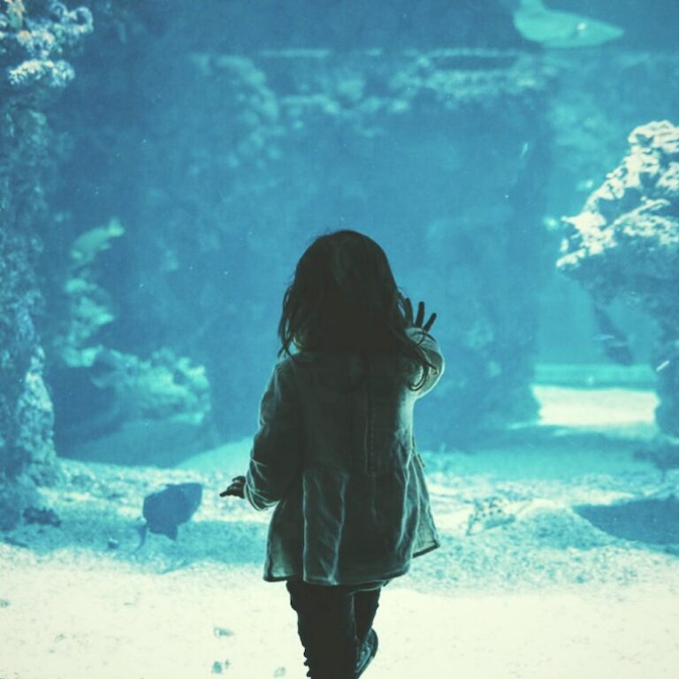 แรงบันดาลใจสำหรับฤดูกาลราศีมีนของคุณ! รูปแบบสัญลักษณ์ดาว