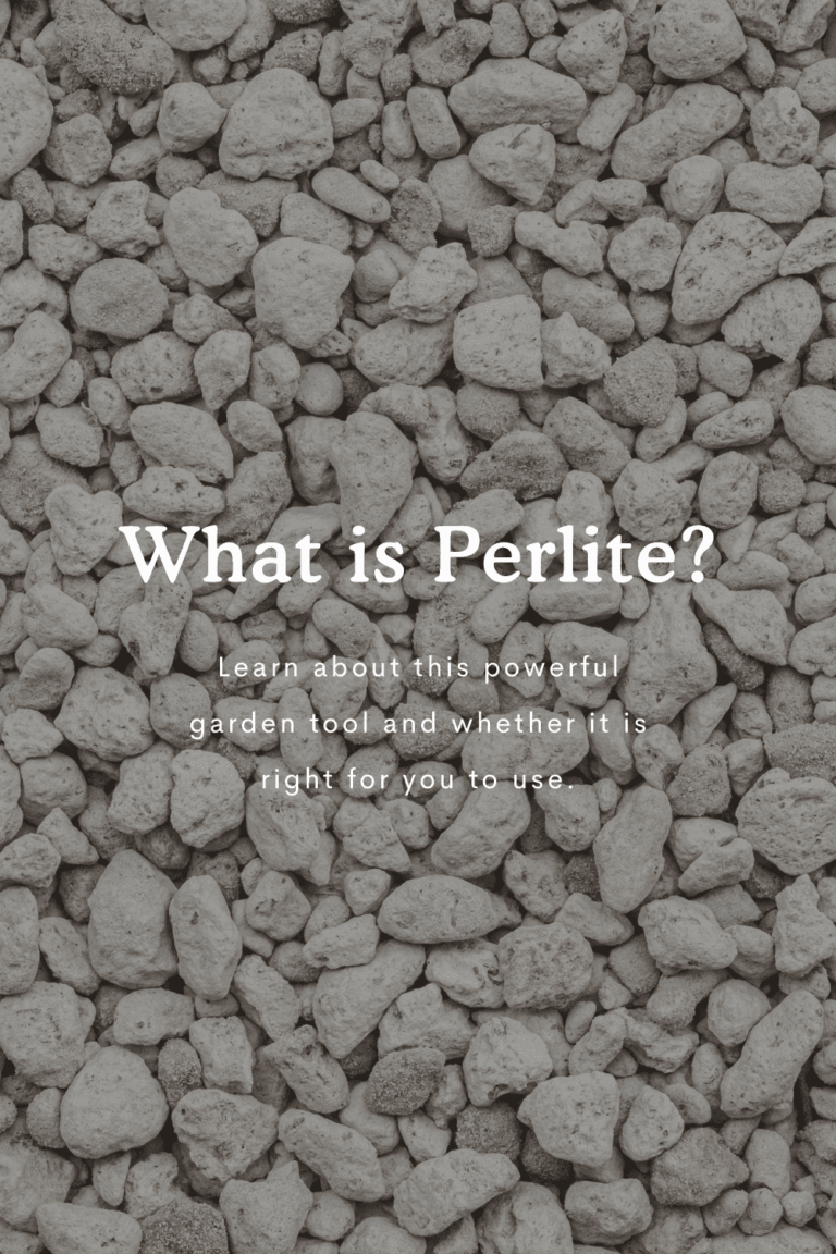 perlite คืออะไรและวิธีการใช้ในสวน