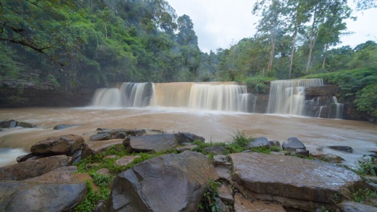 สิ่งที่ดีที่สุดที่ควรทำในอุทยานแห่งชาติ Khao Yai