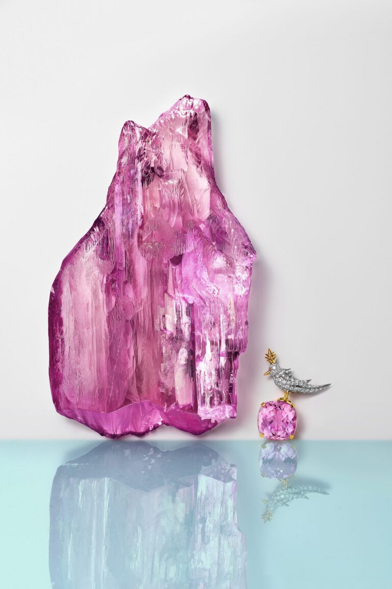 Tiffany & Co. คว้า 7,500 กะรัตมาไว้ในครอบครองมาไว้ในครอบครอง