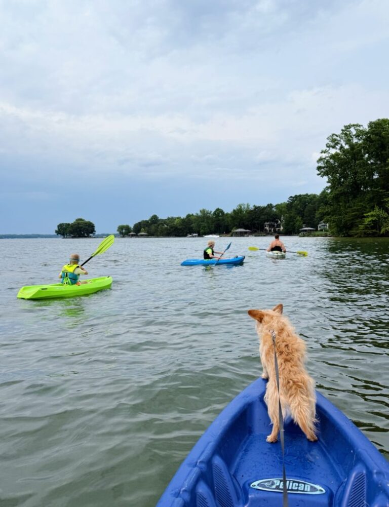 ฤดูร้อนจนถึงการเดินทางของเด็กหญิงออร์แลนโด