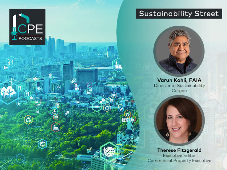 Sustainability Road: ความจริงเกี่ยวกับไม้มวลชน