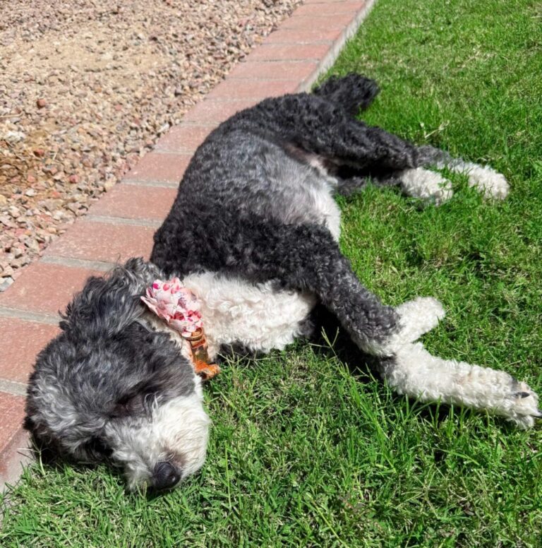 8.22 Friday Faves – The Fitnessista