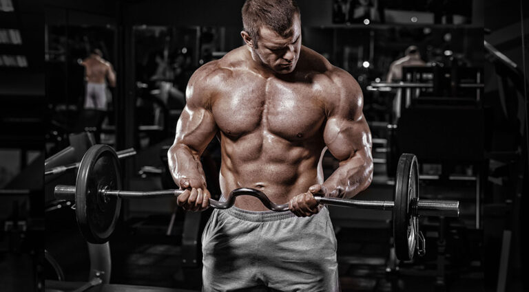 การฝึกอบรมปริมาณภาษาเยอรมัน: วิธีการสร้างกล้ามเนื้ออธิบาย