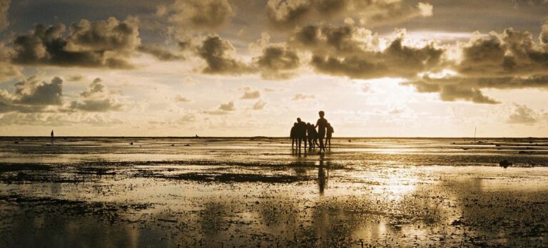 การระบายความร้อน La Niñaอาจกลับมาได้ แต่อุณหภูมิโลกจะเพิ่มขึ้น: WMO – ปัญหาระดับโลก