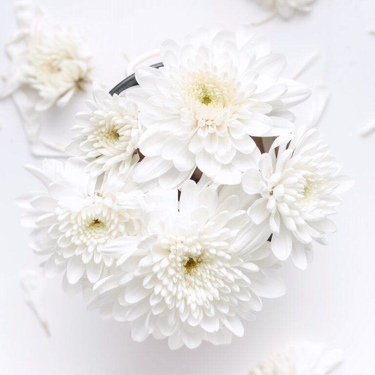 ดอกไม้สำหรับฤดูกาลราศีกันย์และราศีกันย์ … เลือกพวงที่สมบูรณ์แบบ!